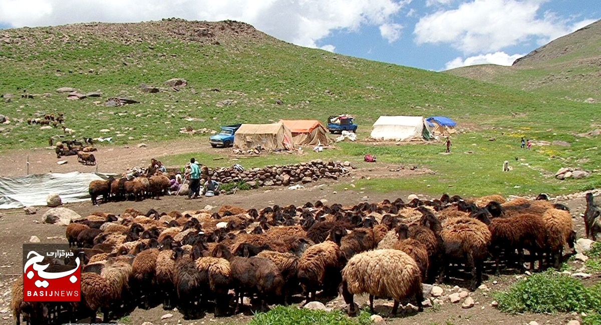 شاخص برخورداری عشایر استان در زمینه راه ۴۰ و  آب ۳۹ درصد است|روزانه ۳۰ تانکر به مناطق عشایری آبرسانی سیار انجام می‌شود