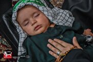 همنوایی شیرخوارگان اراکی با ۶ ماهه کربلا