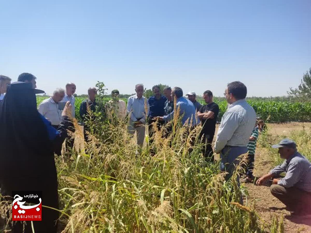 برگزاری دوره آموزشی روش های اجرای سامانه های نوین آبیاری روستای پیریوسفیان