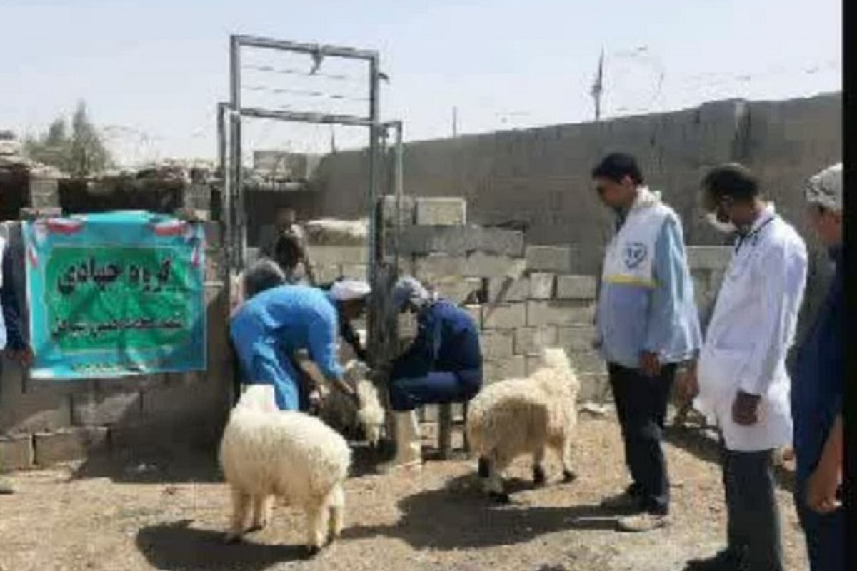 اردوی جهادی یکروزه دامپزشکی در هیرمند برگزار شد