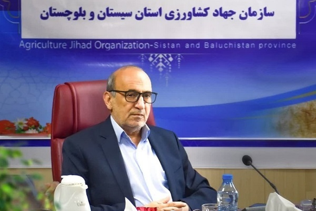 امسال ۱۲۰ هزارهکتار از اراضی کشاورزی استان سیستان وبلوچستان به زیر کشت محصولات پاییزه میرود