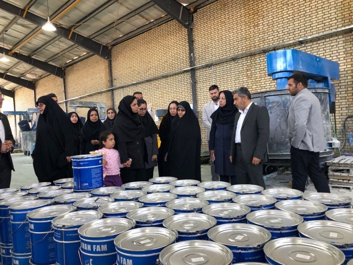 معاون رئیس جمهور:
۳۸۰۰ شغل برای زنان خود سرپرست در کشور ایجاد شده است