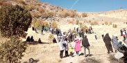 برگزاری چهارمین جشنواره بلوط روستای «سرسختی‌علیا» شازند