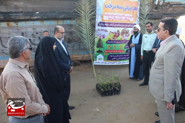 کاشت درخت حرا در سواحل دلوار