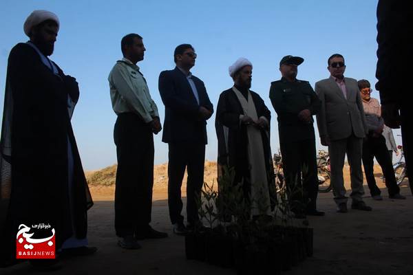 کاشت درخت حرا در سواحل دلوار