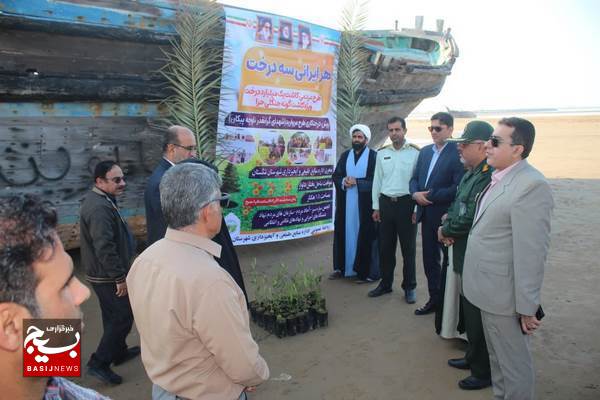 کاشت درخت حرا در سواحل دلوار