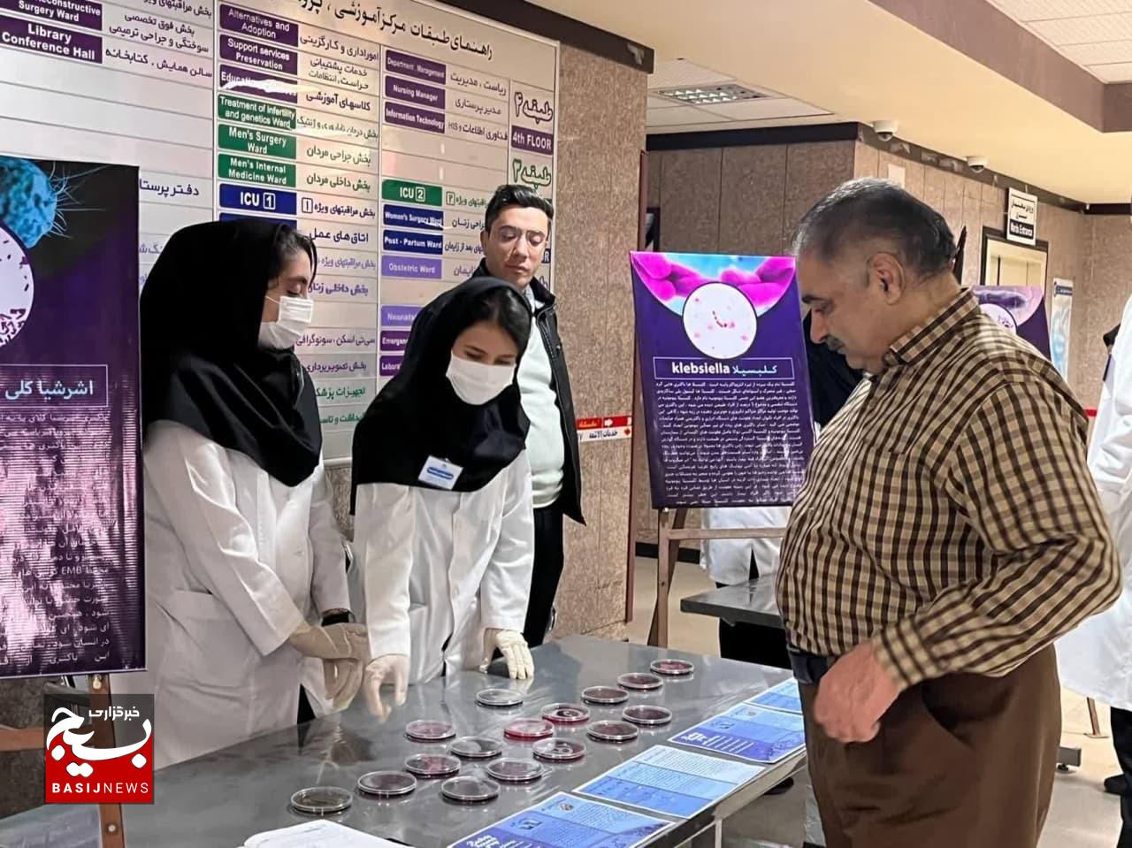خلق نقاشی آگار از باکتری‌ها در دانشگاه آزاد اسلامی شاهرود