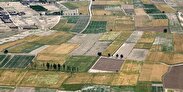 صدور سند حدنگار ۱۰ هزار هکتار از اراضی کشاورزی فراهان