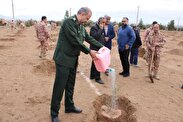 آئین درختکاری 300 اصله نهال مثمر در تیپ 12 استان سمنان برگزار شد