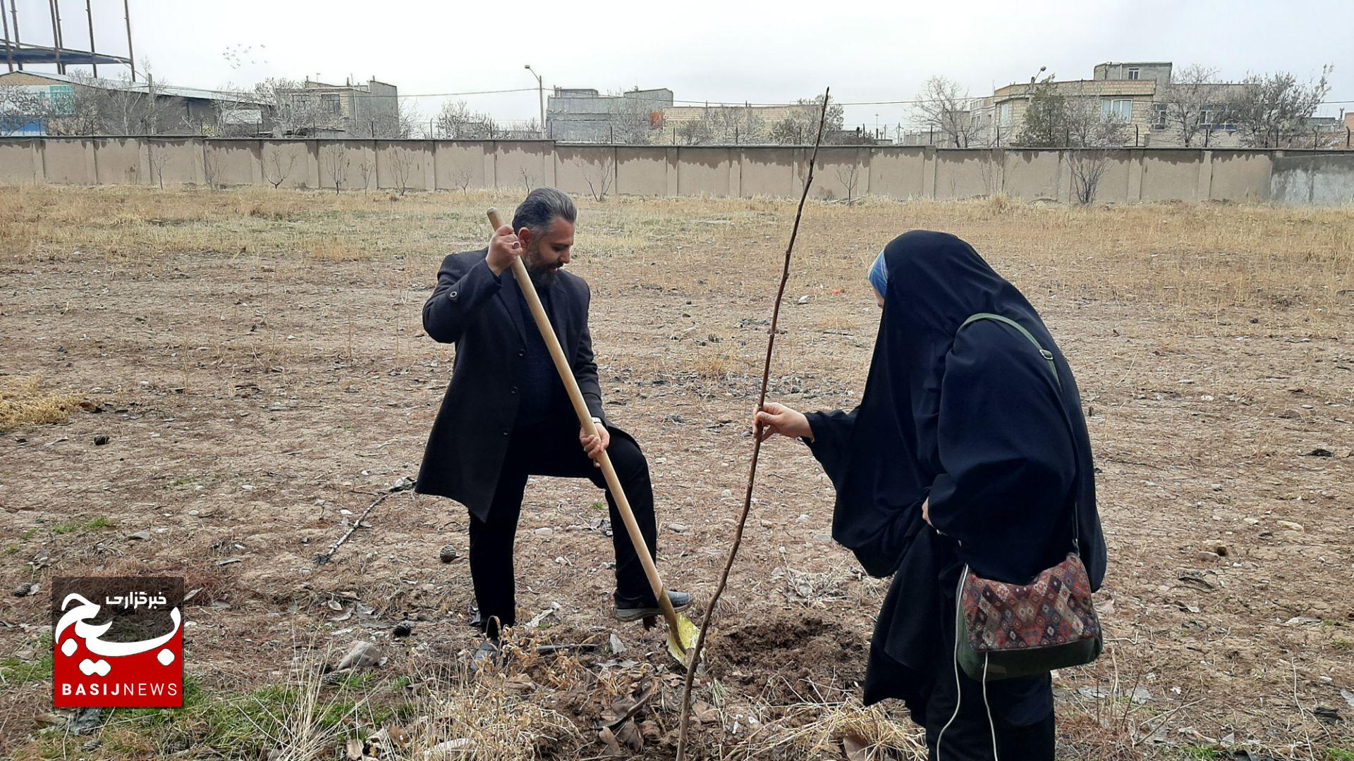 کاشت ۶٠۶٧ اصله نهال به همت گروه‌های جهادی و بسیجیان در قوچان