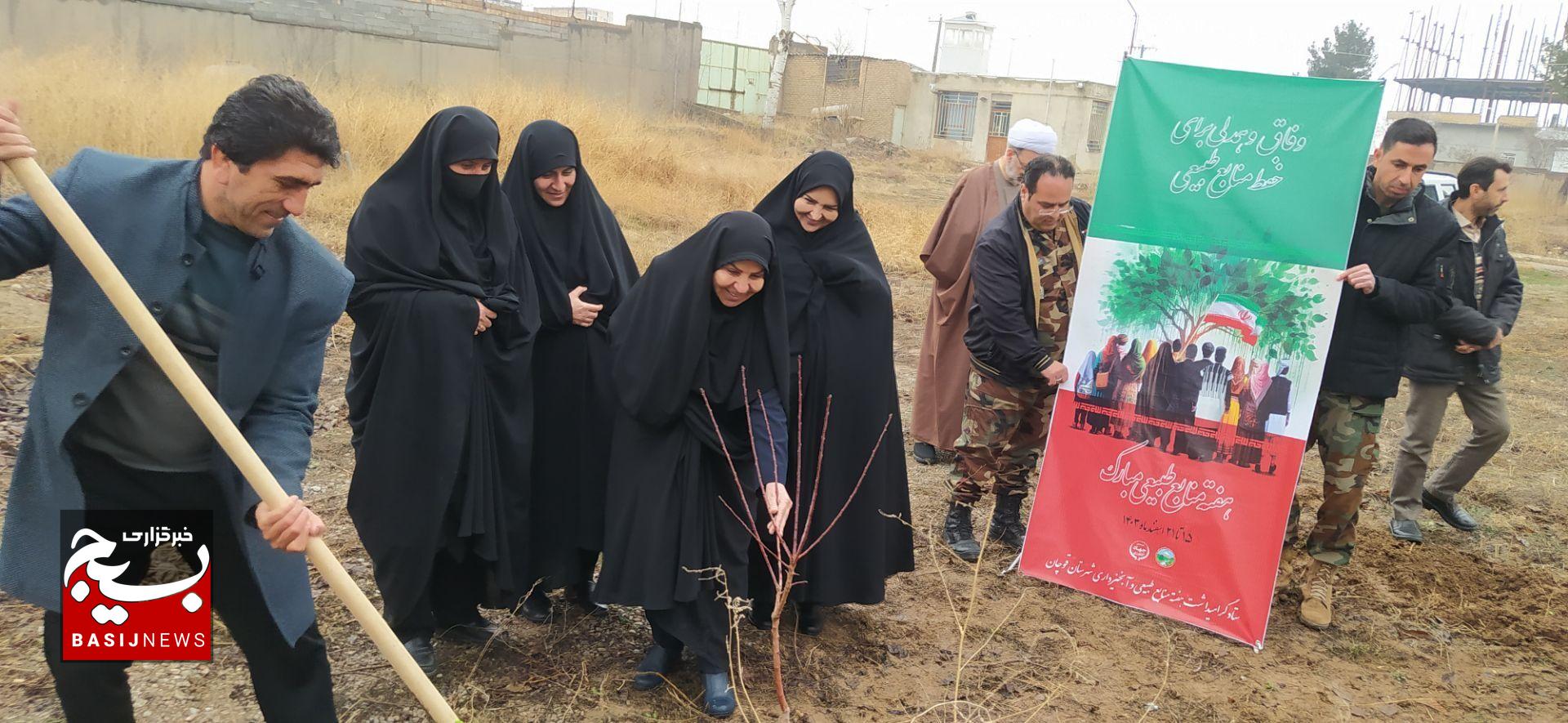 کاشت ۶٠۶٧ اصله نهال به همت گروه‌های جهادی و بسیجیان در قوچان