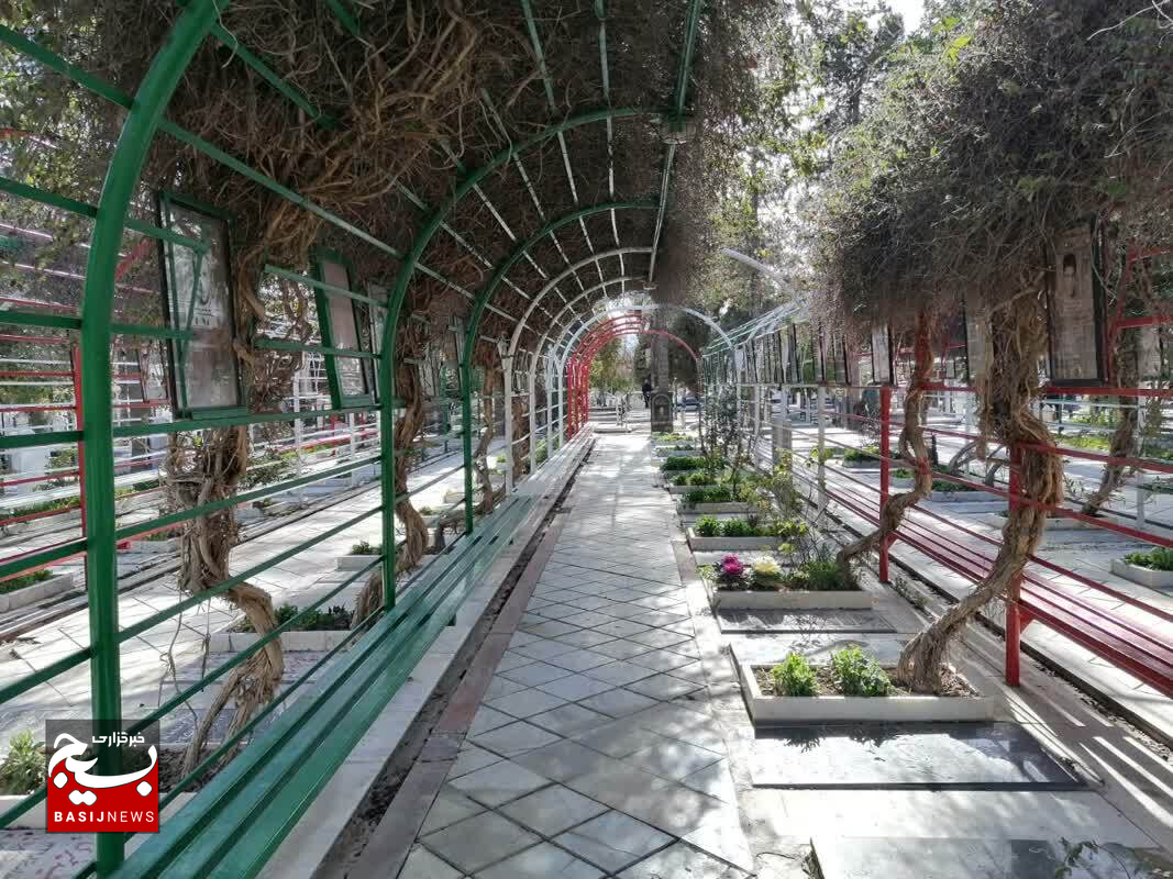 شهید یعنی همیشه جاوید، یعنی زنده/ گلزار شهدای دارالرحمه شیراز