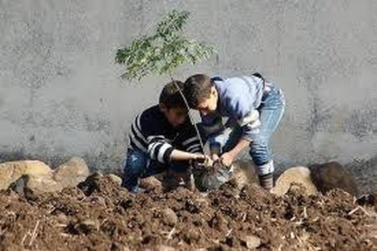 راه اندازی دو نهالستان دانش آموزی در گرمسار