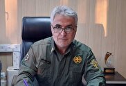 تلاش برای تبدیل منطقه حفاظت شده حیات وحش انگوران به قطب گردشگری 