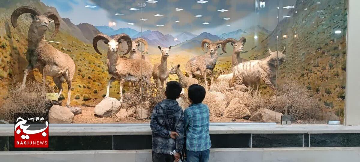 بازدید از موزه حیات وحش استان
