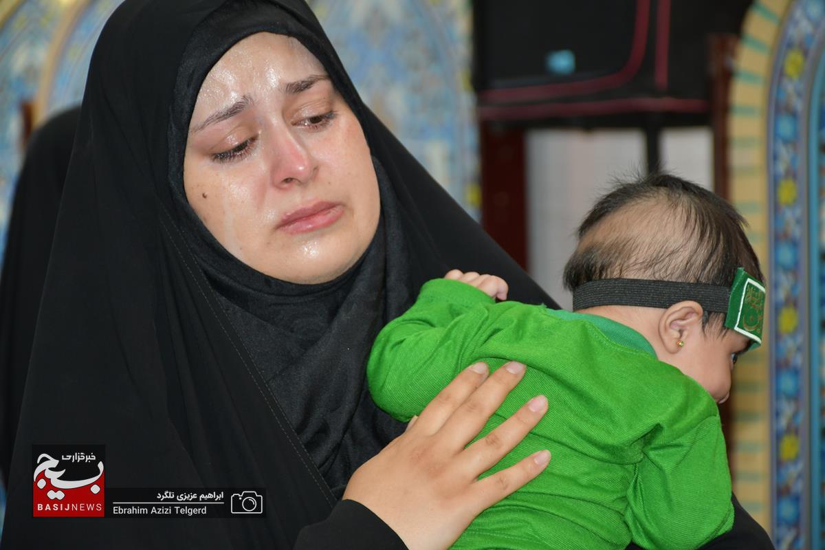 همایش باشکوه شیرخوارگان حسینی در یاسوج + ( تصاویر)