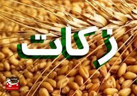 ۹۷ درصد زکات پرداختی در اردبیل صرف امور فقرا می شود ۹۷ درصد زکات پرداختی در اردبیل صرف امور فقرا می شود