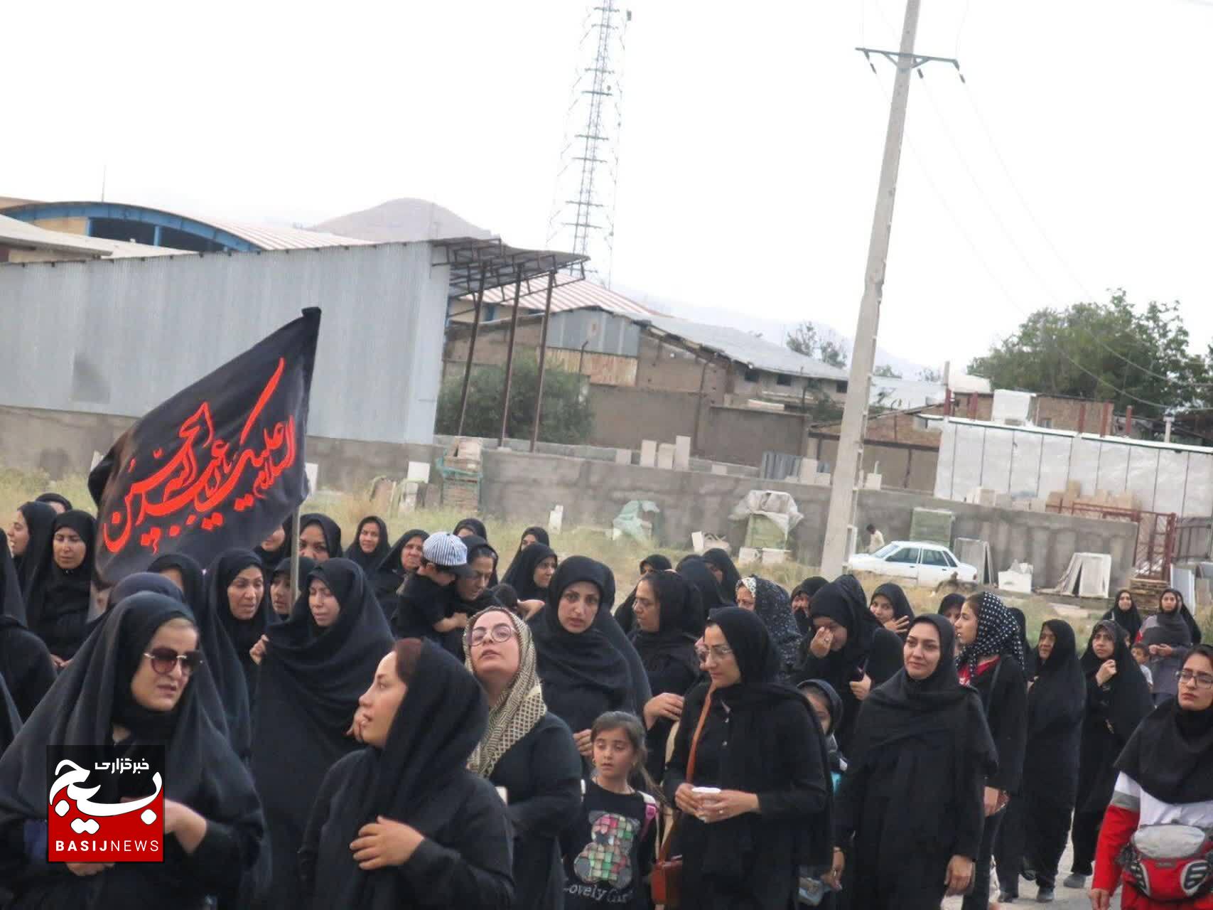 جلوه های زیبا از مراسم دلدادگان در آوج