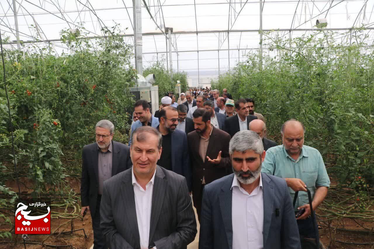  ۵۴ طرح تولیدی کشاورزی در استان قزوین افتتاح شد