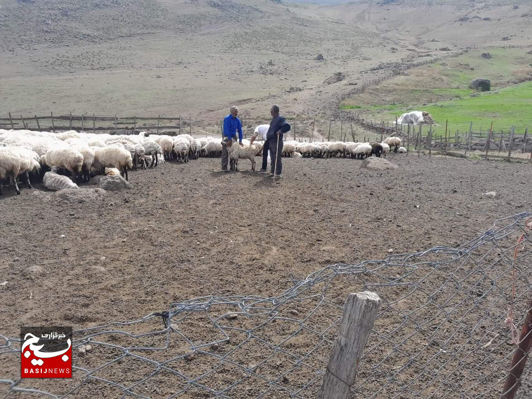 خدمات جهادی و افتتاح پایگاه بسیج عشایری در تالش