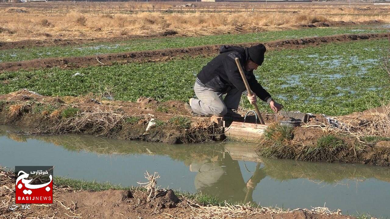 رئیس جهادکشاورزی اردبیل: آبیاری سنتی، راهکار مناسب افزایش تولید محصول نیست