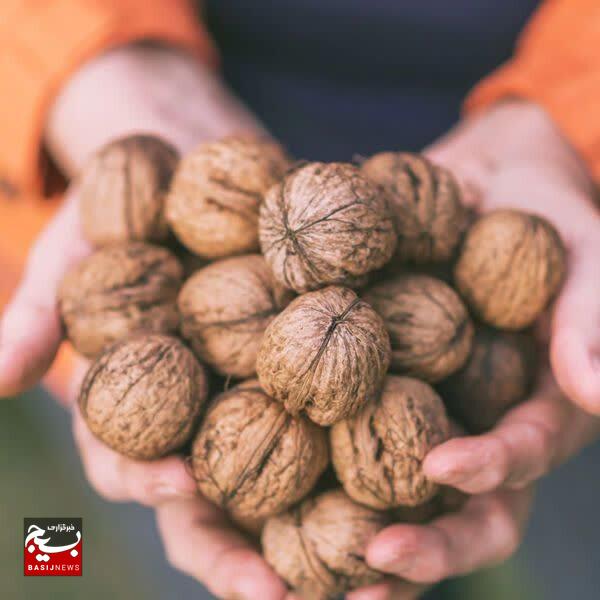 راهپیمایی دانش‌آموزان کرج علیه استکبار جهانی+تصاویر