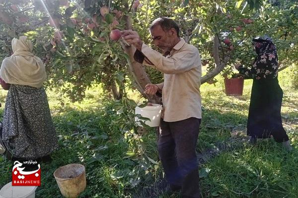 زوج بسیجی نهاوندی در روستا الگویی برای نسل جوان