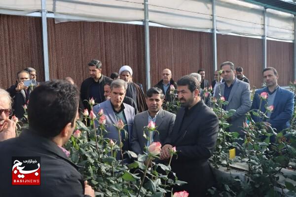 اشتغالزایی گلخانه هیدروپونیک نهاوند برای ۱۴۱ نفر