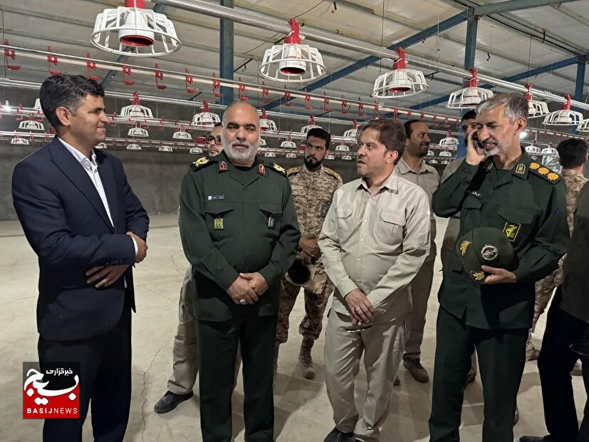 یک واحد مرغداری صنعتی در شهرستان درمیان به بهره برداری رسید 