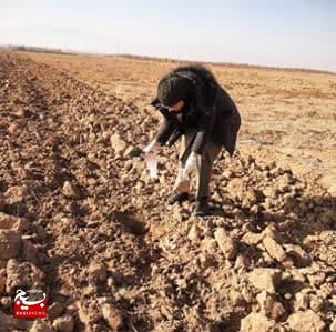مدیریت پسماند؛ پلی از بحران زیستمحیطی تا زمین پاک مدیریت پسماند؛ پلی از بحران زیستمحیطی تا زمین پاک