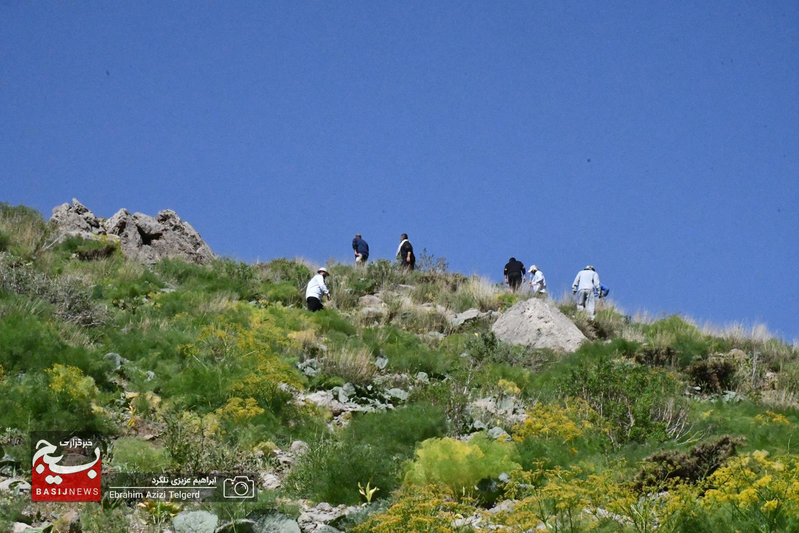 همایش کوهنوردی و اردوی فرهنگی ورزشی کارکنان نمایندگی ولی فقیه در سپاه فتح در منطقه کوه گُل
