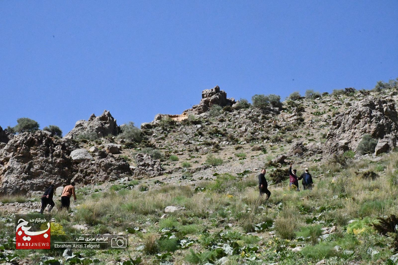 همایش کوهنوردی و اردوی فرهنگی ورزشی کارکنان نمایندگی ولی فقیه در سپاه فتح در منطقه کوه گُل
