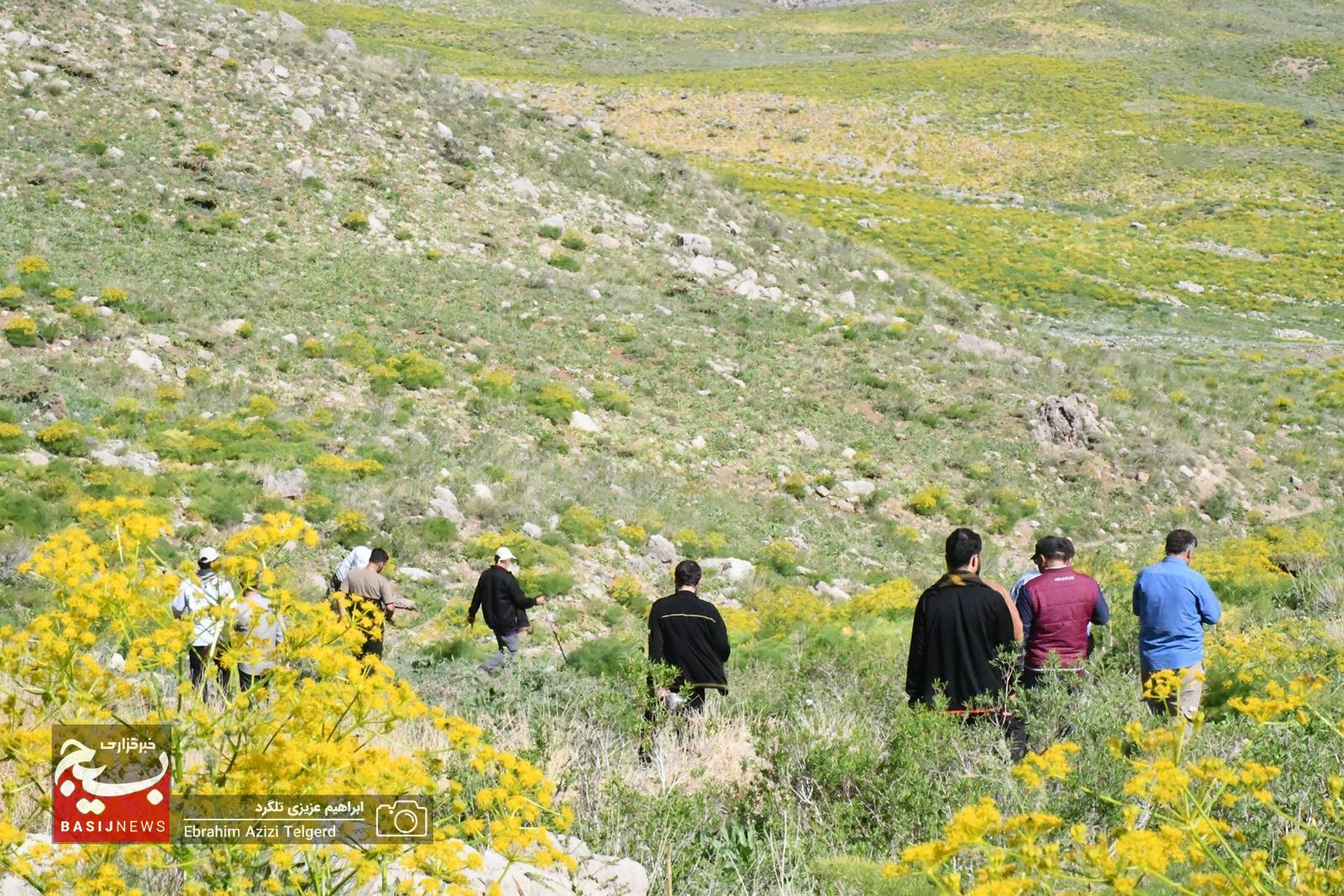 همایش کوهنوردی و اردوی فرهنگی ورزشی کارکنان نمایندگی ولی فقیه در سپاه فتح در منطقه کوه گُل