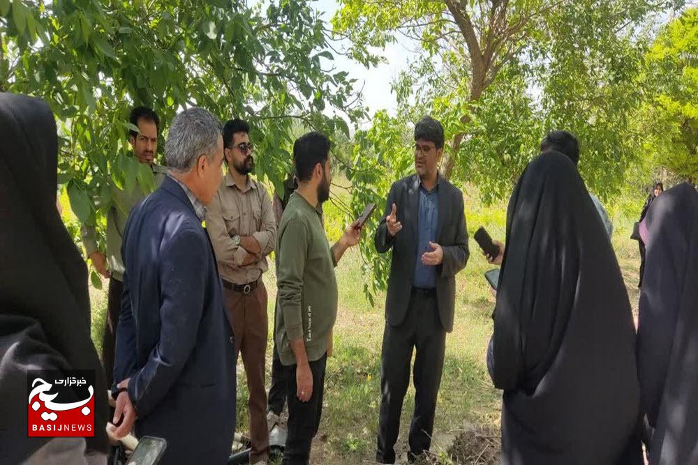 کمبود ظرفیت مراتع در شهرستان ملایر و چرای بیرویه