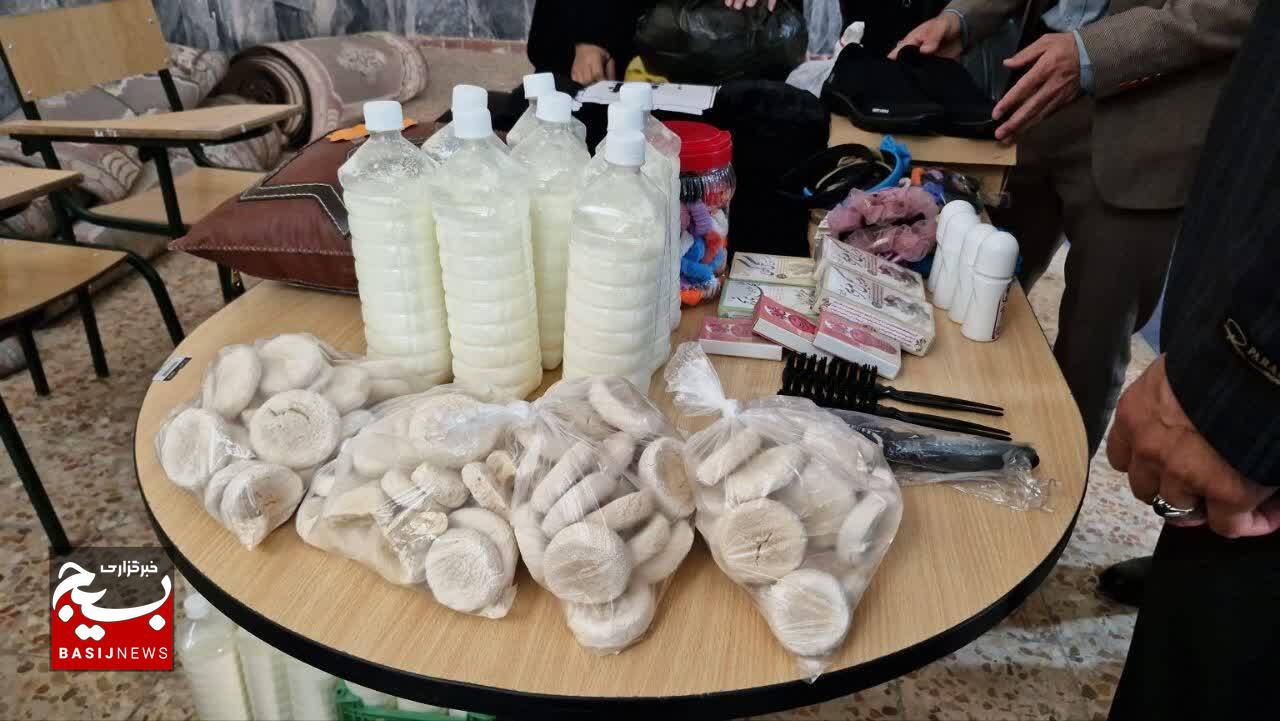 برپایی نمایشگاه عرضه محصولات خانگی در پلدختر
