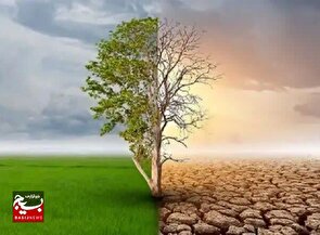 درختکاری؛ از ارکان حیاتی حفظ محیط زیست