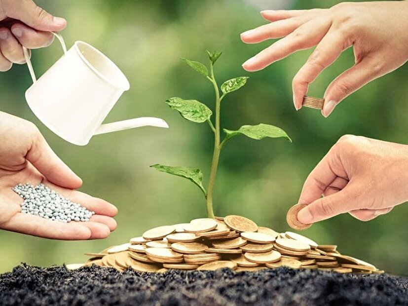 ضرورت احیای ظرفیت زنان در اقتصاد
