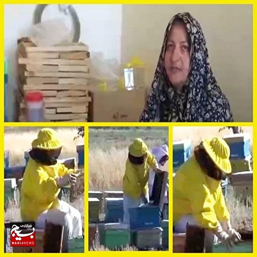 کارآفرینی موفق در دل طبیعت؛ بانوی زنبوردار فاروجی با ۶۶۰ کلنی زنبور عسل به میدان تولید آمد