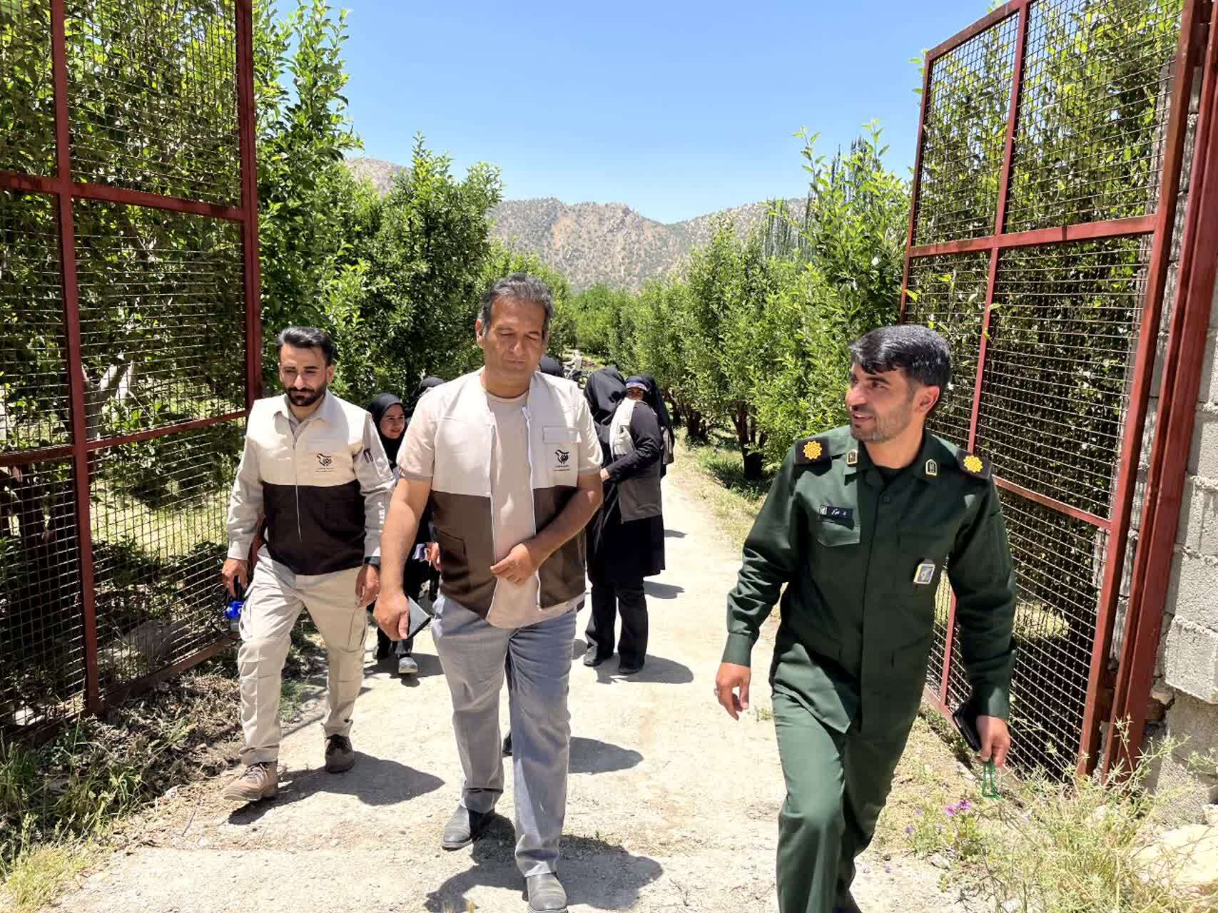 کنترل جوندگان مضر باغات شهرستان دنا توسط بسیج مهندسین کشاورزی سپاه فتح
