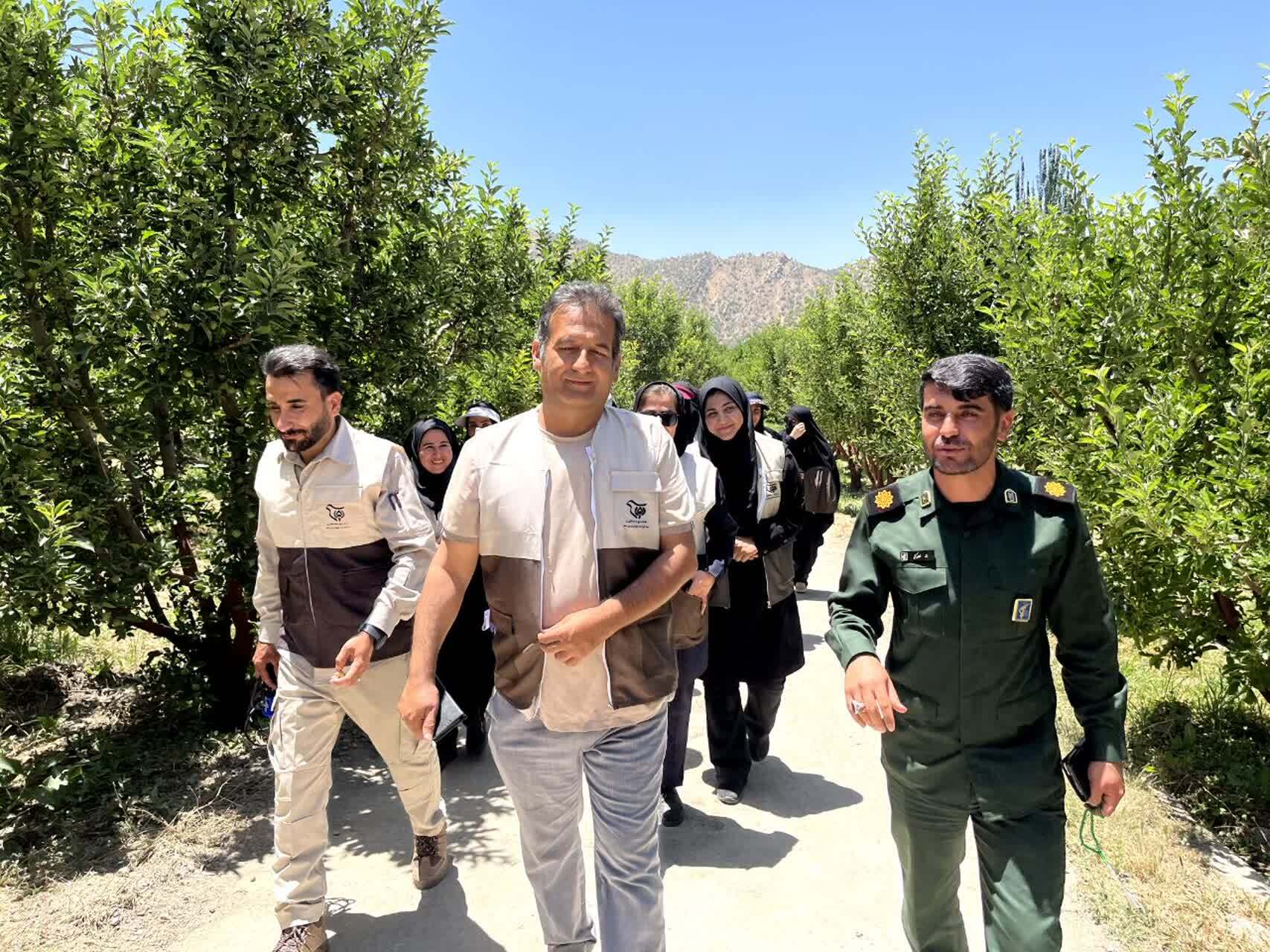 کنترل جوندگان مضر باغات شهرستان دنا توسط بسیج مهندسین کشاورزی سپاه فتح