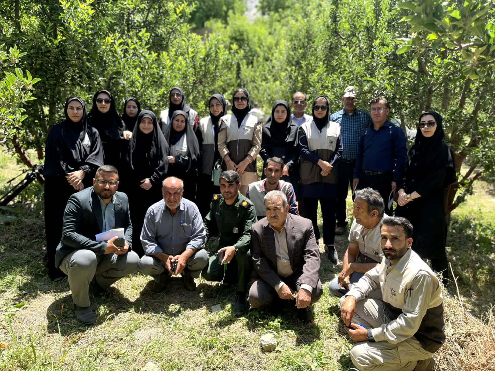 کنترل جوندگان مضر باغات شهرستان دنا توسط بسیج مهندسین کشاورزی سپاه فتح