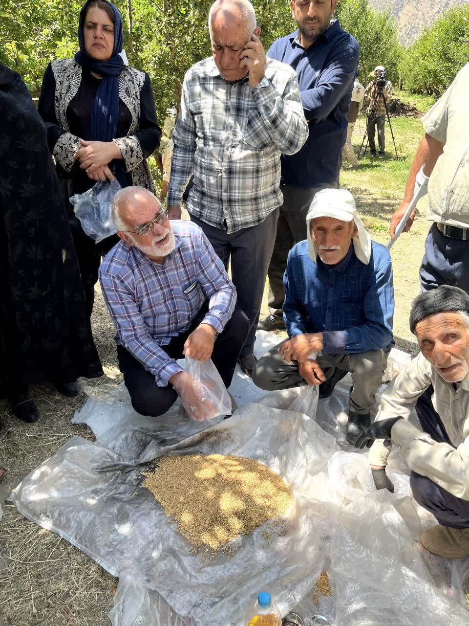 کنترل جوندگان مضر باغات شهرستان دنا توسط بسیج مهندسین کشاورزی سپاه فتح