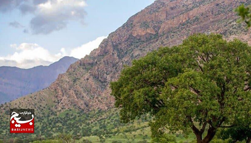 بسیجیان نقش اساسی در طرح کاشت یک میلیارد درخت و حفظ منابع طبیعی را ایفا می کنند