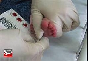 شناسایی ۱۱ نوزاد مبتلا به کم کاری تیروئید در مه ولات