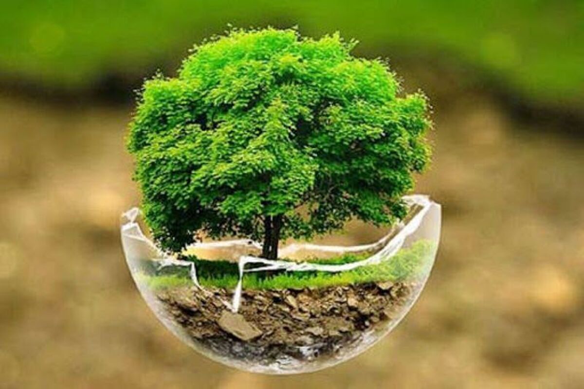 رشد ۴۸۰ درصدی سرمایه صندوق منابع طبیعی در استان سمنان