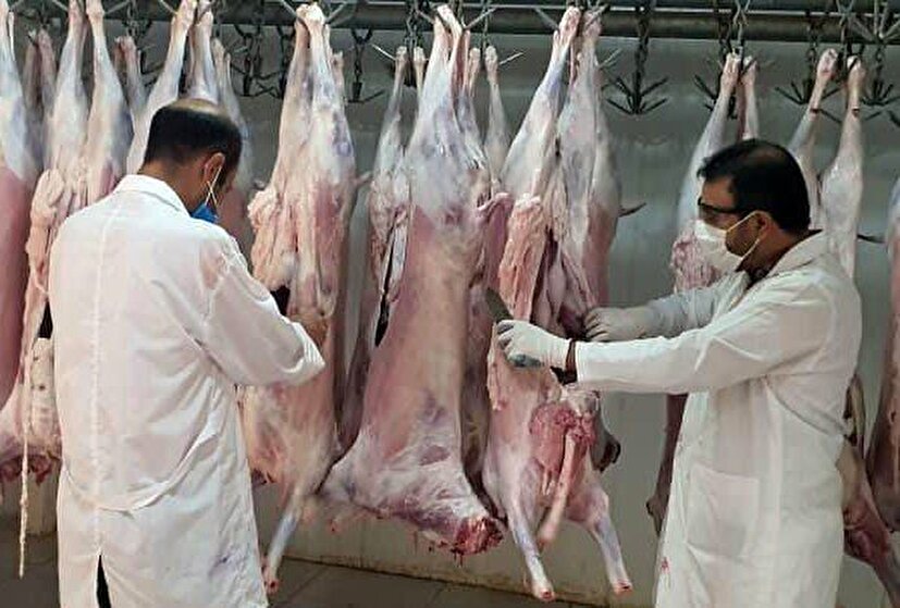 توسعه صنایع تبدیلی ایلام و عرضه گوشت سالم در گرو کشتارگاه صنعتی