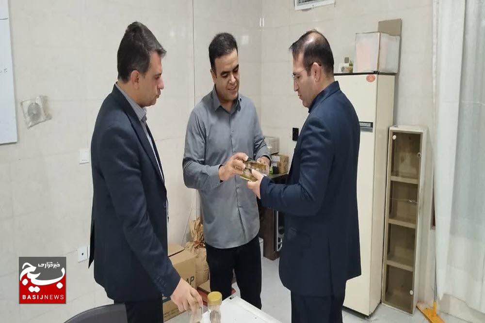 بازدیدهای میدانی فرصتی برای رفع موانع کارگاههای تولیدی