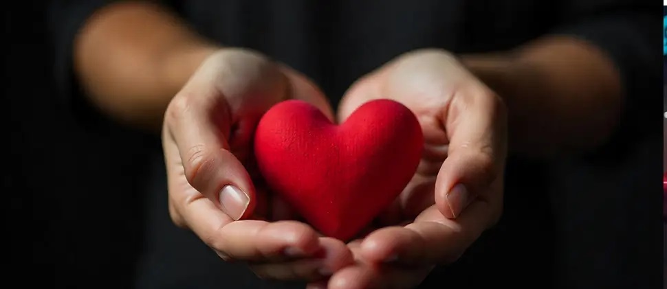 حفظ سلامت قلب با ۴ راهکار ساده؛ از تغذیه تا ورزش و سبک زندگی سالم حفظ سلامت قلب با ۴ راهکار ساده؛ از تغذیه تا ورزش و سبک زندگی سالم