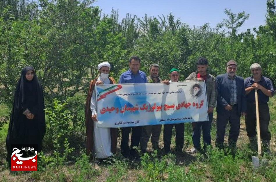 تلاش جهادگران بسیجی برای تولید غذای سالم و مقابله با سموم شیمیایی تلاش جهادگران بسیجی برای تولید غذای سالم و مقابله با سموم شیمیایی