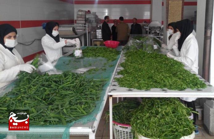 داستان پشتکار بانوی لرستانی/ بانویی که با سبزیهای خردشده و بستهبندی آنها، زندگیها را متحول کرد داستان پشتکار بانوی لرستانی/ بانویی که با سبزیهای خردشده و بستهبندی آنها، زندگیها را متحول کرد